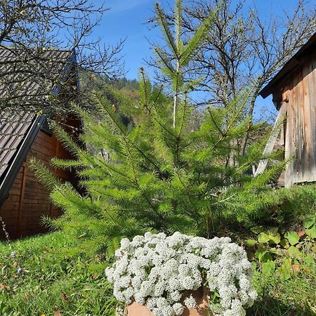 Willa Vikendica Neven Zaovine Zewnętrze zdjęcie