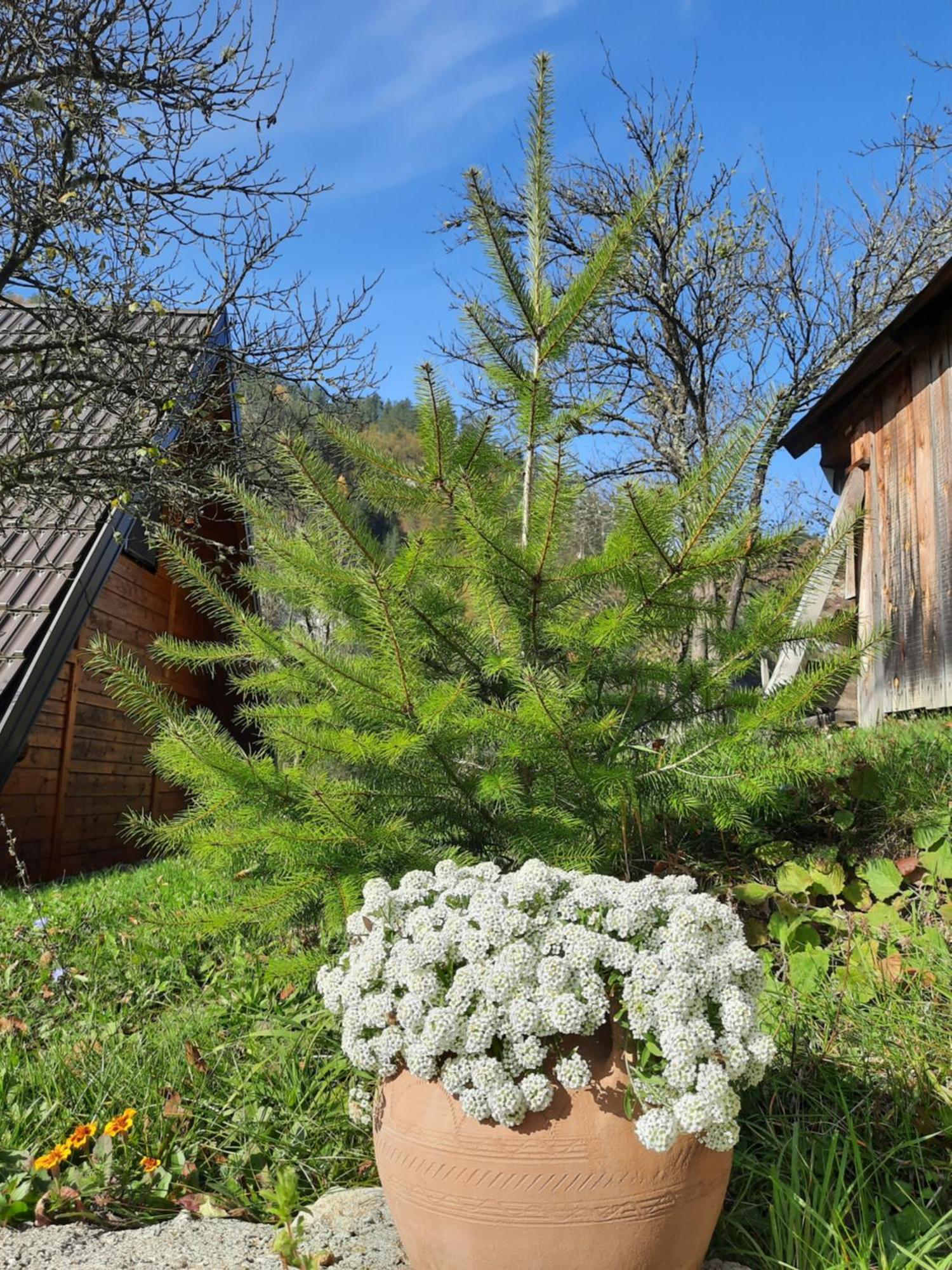 Willa Vikendica Neven Zaovine Zewnętrze zdjęcie